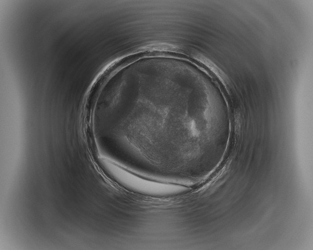 X0000116631115200912111211