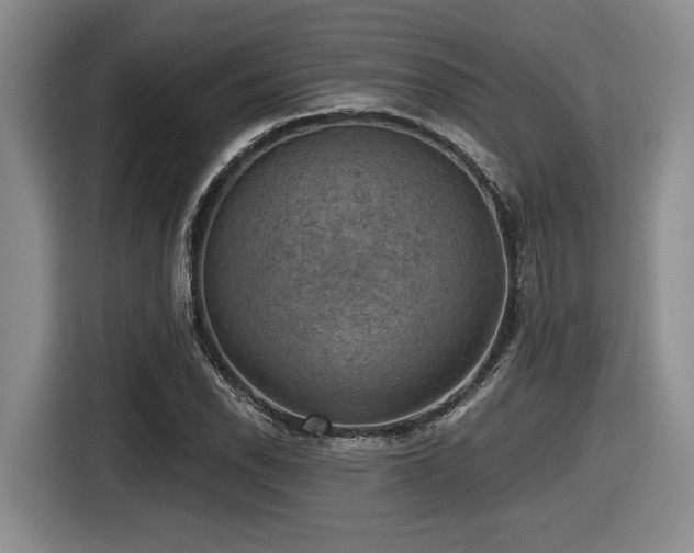 X0000116631118200912111211