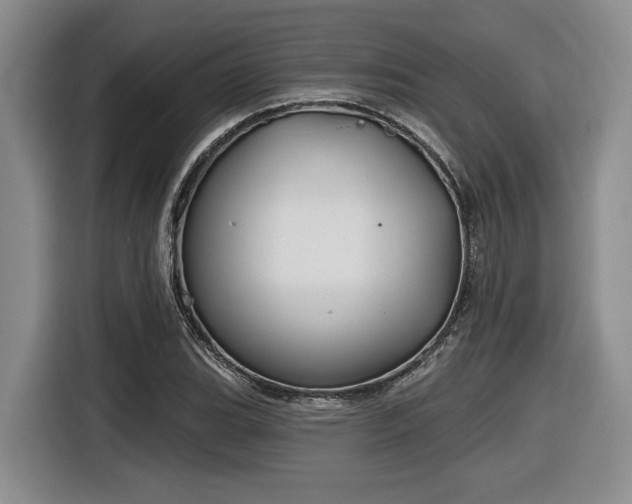 X0000116631119200912111211