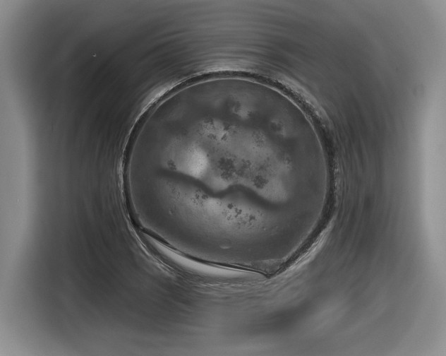 X0000116631121200912111211