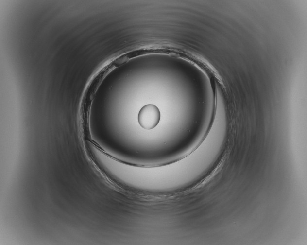 X0000116631122200912111211