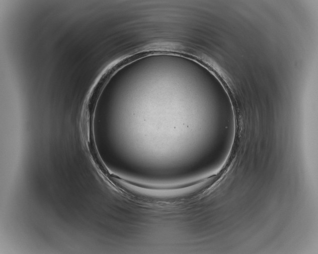 X0000116631123200912111211