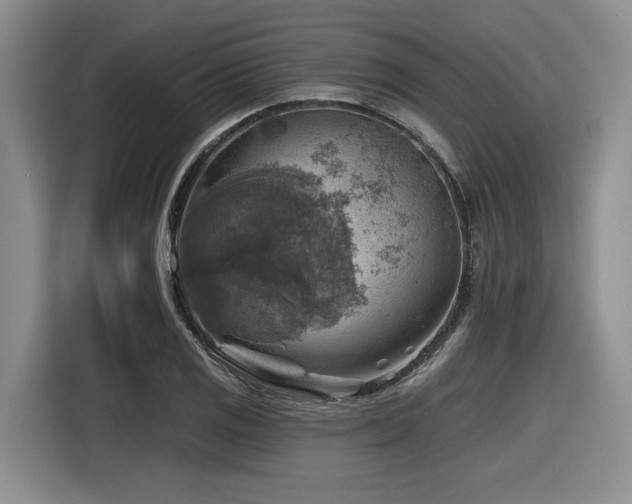 X0000116631125200912111211