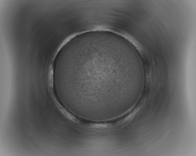 X0000116631126200912111211