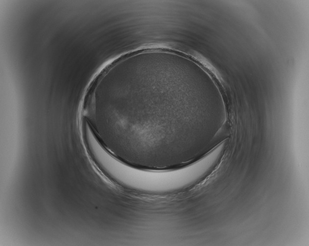 X0000116631127200912111211