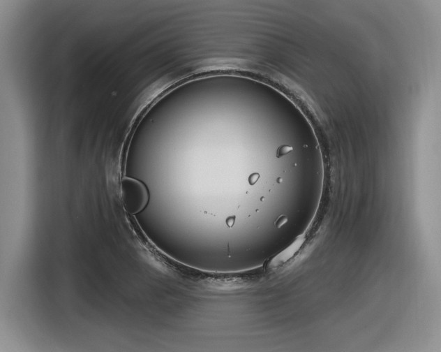 X0000116631129200912111211