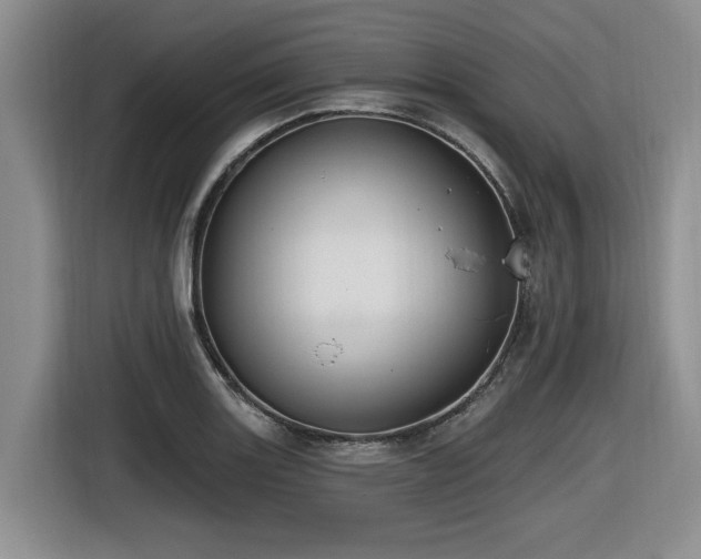 X0000116631131200912111211