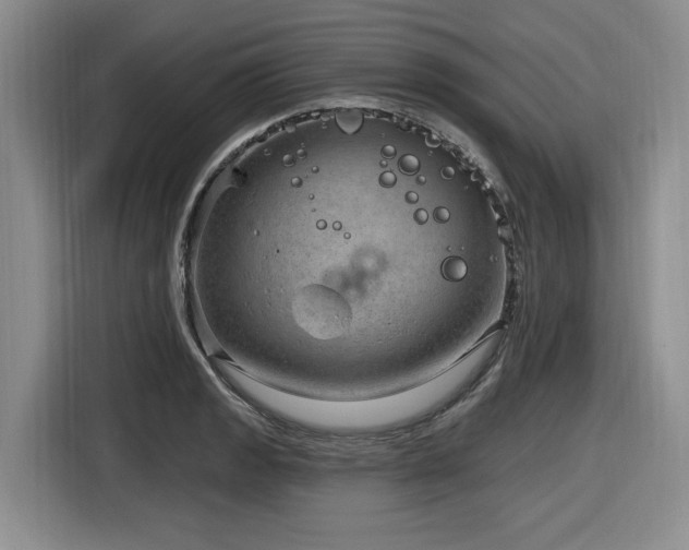 X0000116631133200912111211