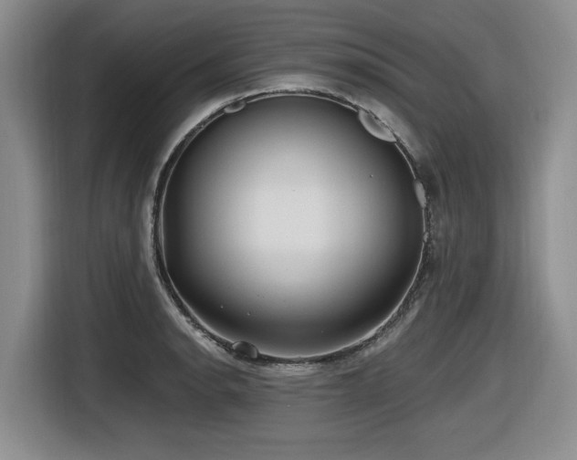 X0000116631134200912111211