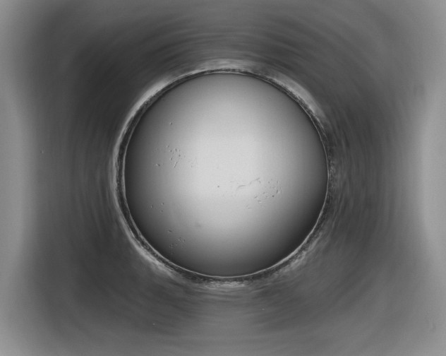 X0000116631135200912111211