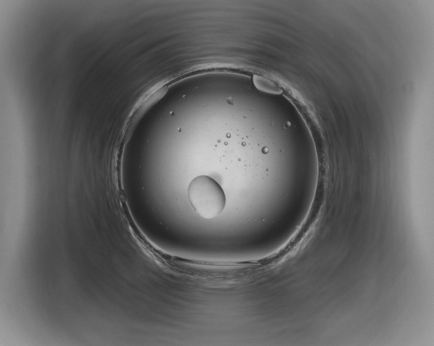 X0000116631137200912111211