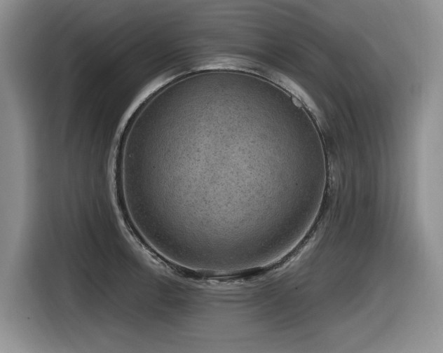 X0000116631138200912111211