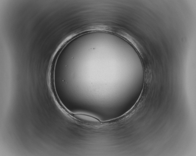 X0000116631139200912111211