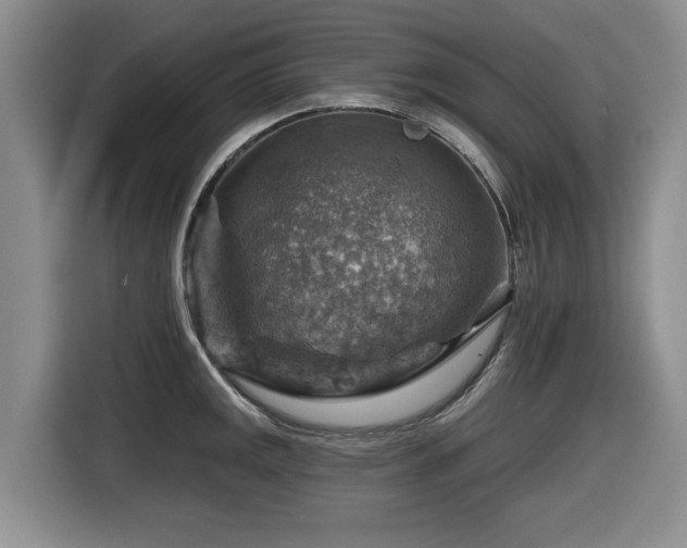 X0000116631141200912111211