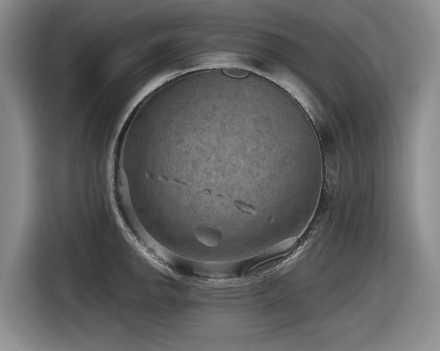 X0000116631142200912111212