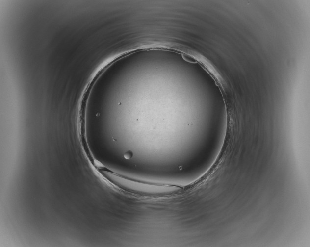 X0000116631143200912111212