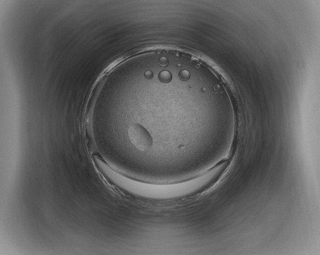 X0000116631145200912111212