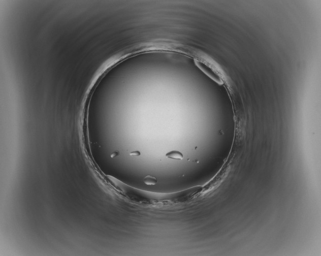 X0000116631146200912111212