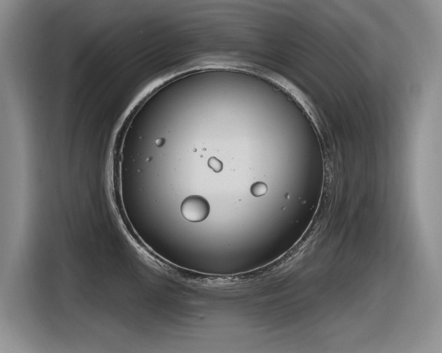 X0000116631147200912111212