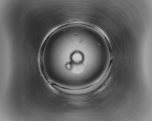 X0000116631149200912111212