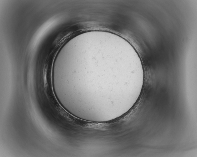 X0000116631150200912111212