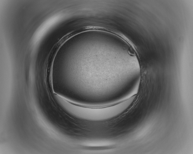 X0000116631151200912111212