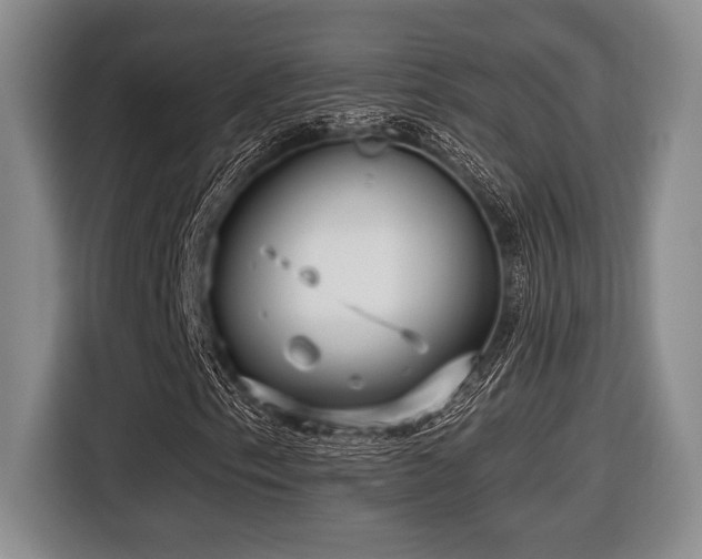 X0000116631153200912111211