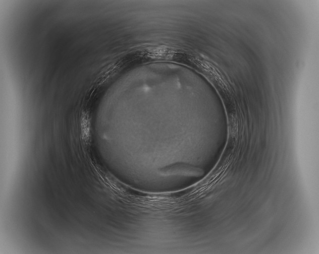 X0000116631154200912111211