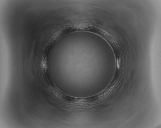 X0000116631155200912111211