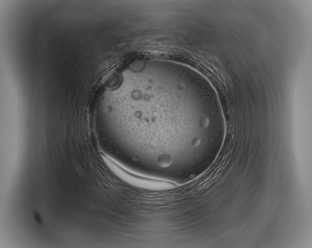 X0000116631156200912111211