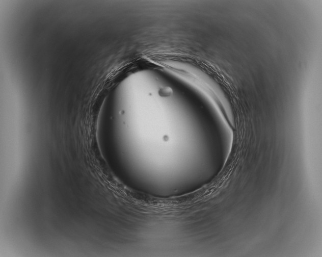 X0000116631157200912111211