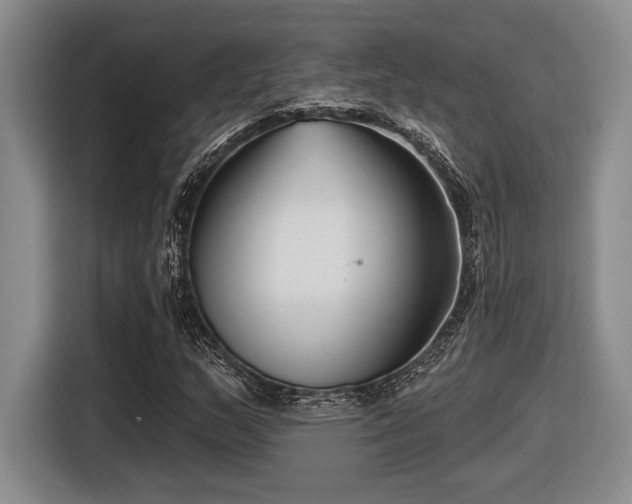 X0000116631159200912111211