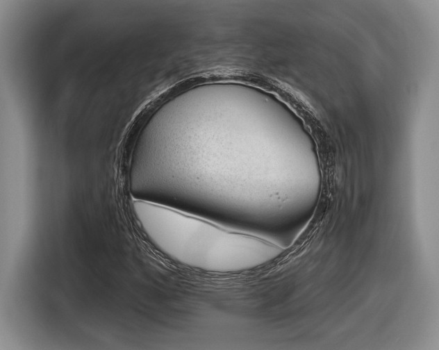 X0000116631160200912111211