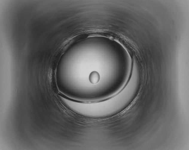 X0000116631161200912111211