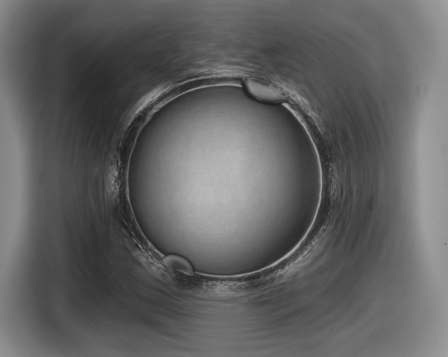 X0000116631163200912111211