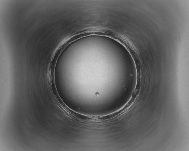 X0000116631164200912111211