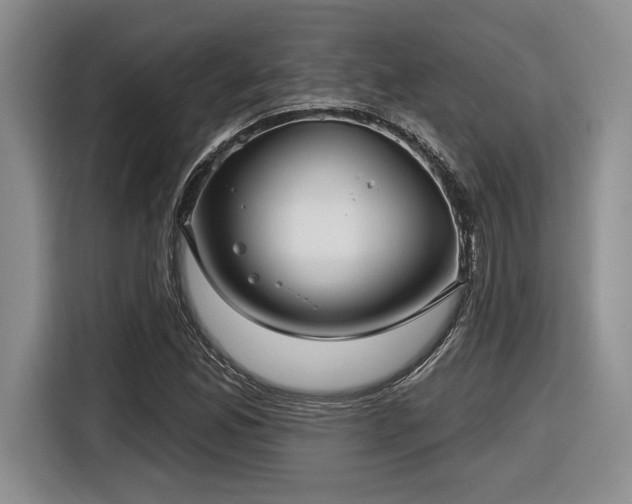 X0000116631165200912111211