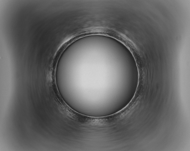 X0000116631166200912111211