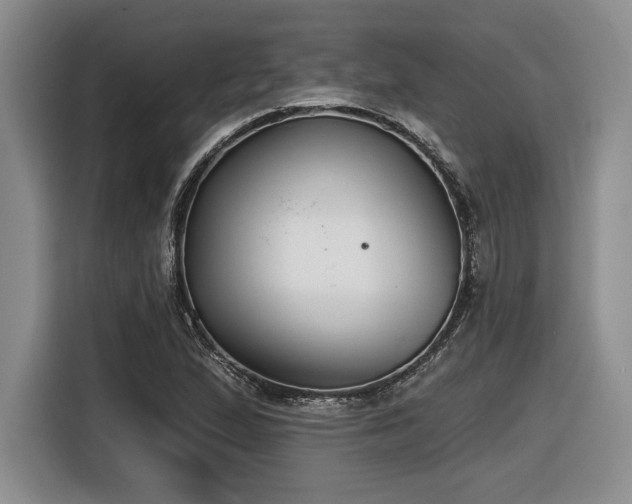 X0000116631167200912111211