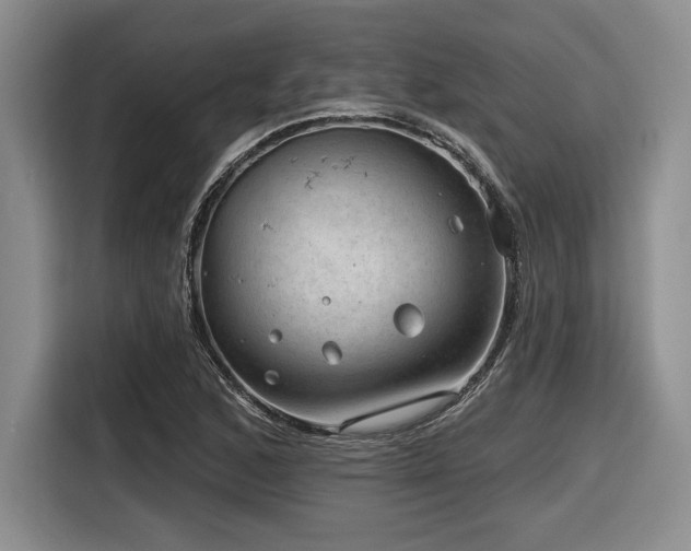 X0000116631168200912111211