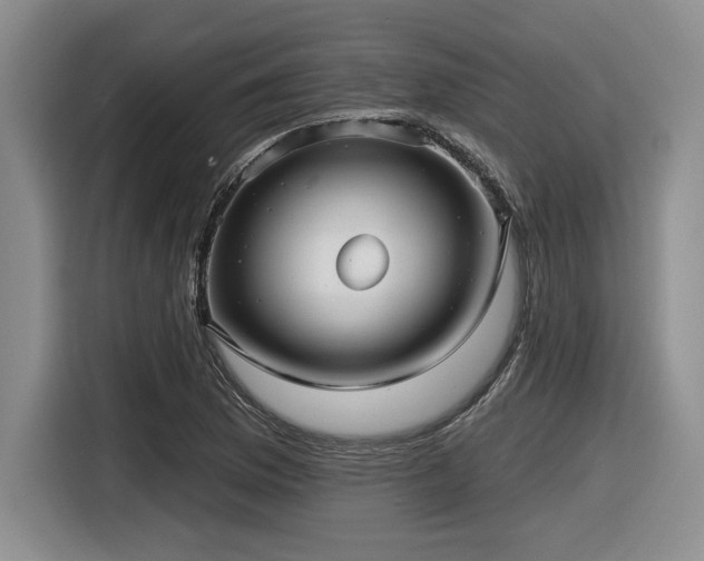 X0000116631169200912111211