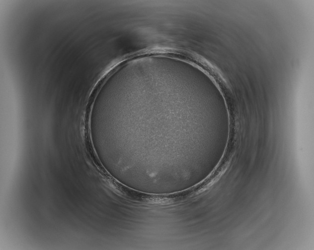 X0000116631170200912111211