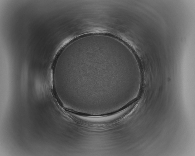 X0000116631171200912111211