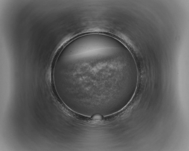 X0000116631173200912111211