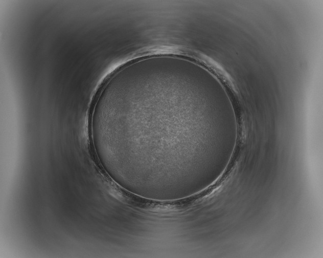 X0000116631174200912111211