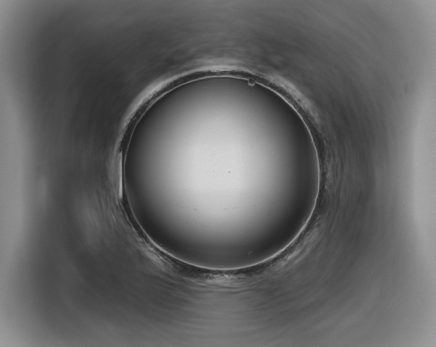 X0000116631175200912111211