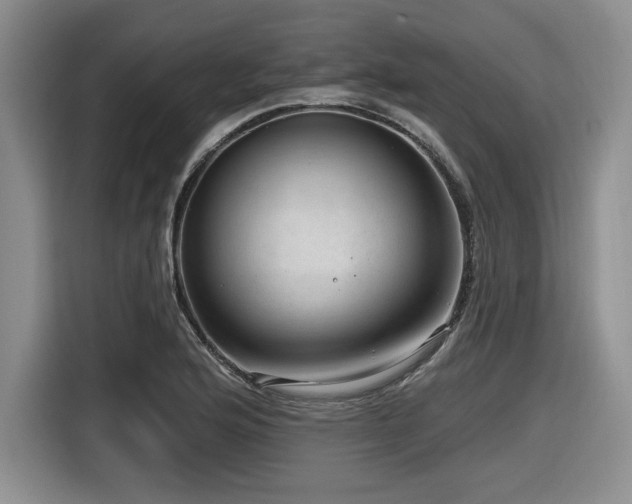 X0000116631176200912111211