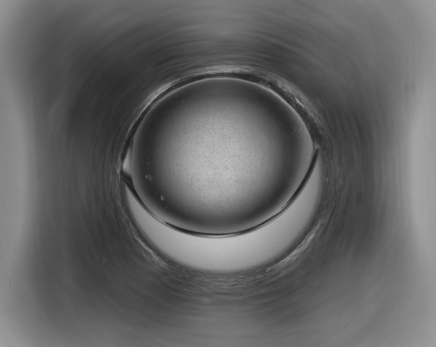 X0000116631177200912111211