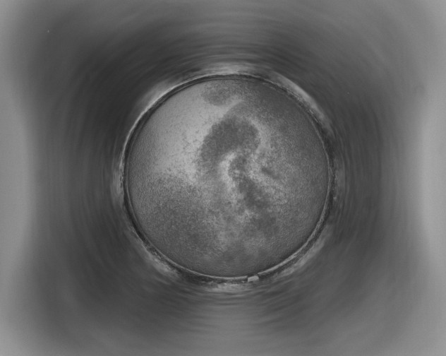 X0000116631178200912111211