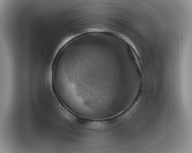 X0000116631179200912111211